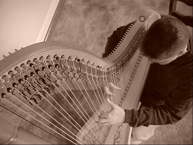 Melvin Lauf, Jr. at the harp, Arlington, Virginia, November 19, 2002